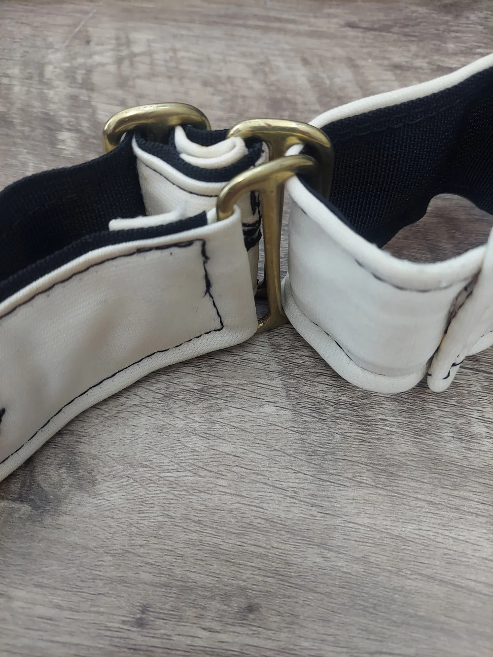 Custom Martingale Dog Collar 2